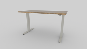 ENTYRE: The Electronic Height Adjustable Desk
